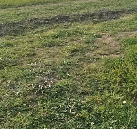 ۲۹۰متر زمین خانه ویلایی تازه آباد