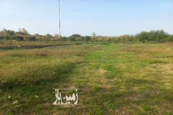 فروش زمین در زیباکنار با سند منگوله دار