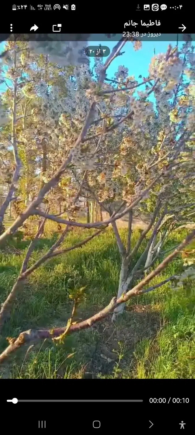 باغچه چهار باغ تهاتر با آپارتمان