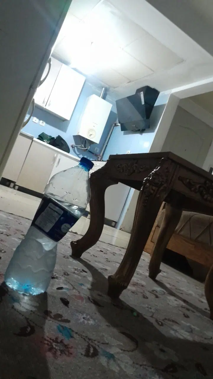 همخونه خانم
