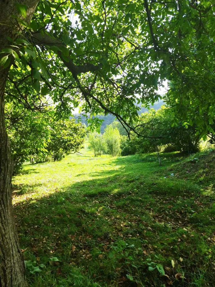 زمین دارای طرح مسکونی