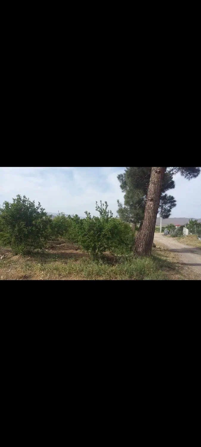 باغ آقدره