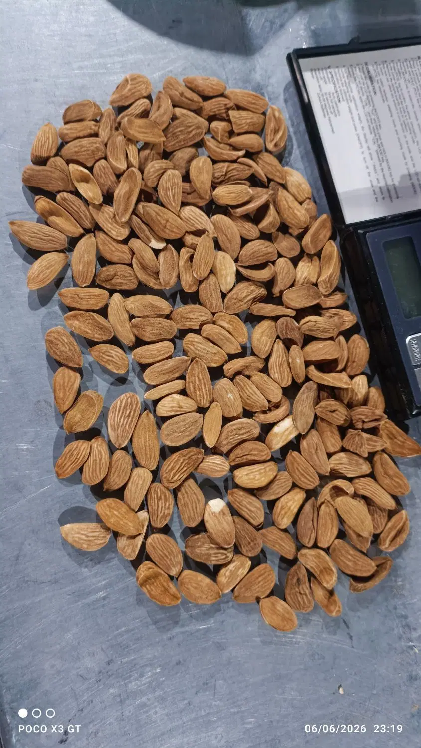 اجاره خانه برای کار بادوم