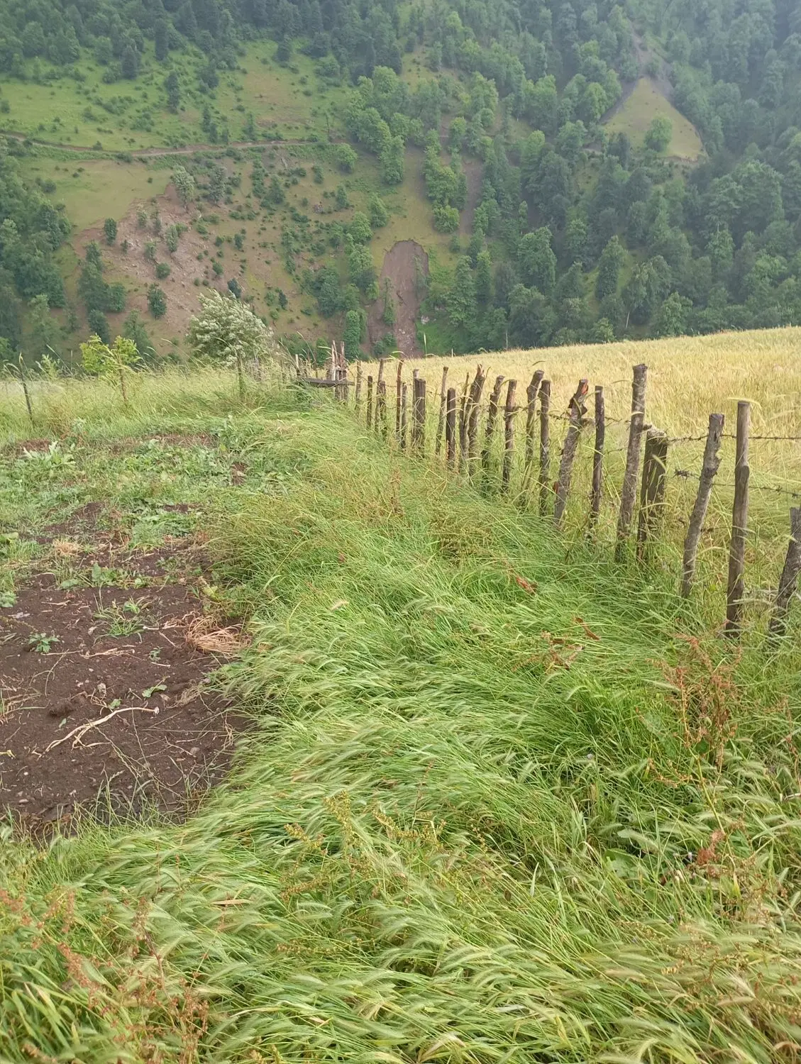 روستای ایربو