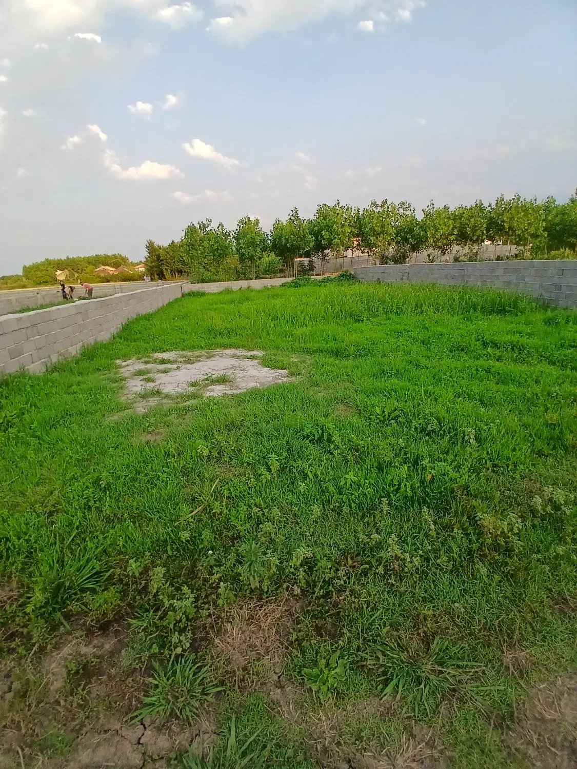 زمین ۲۵۱متر درلاهیجان روستای کوشال فوق العاده