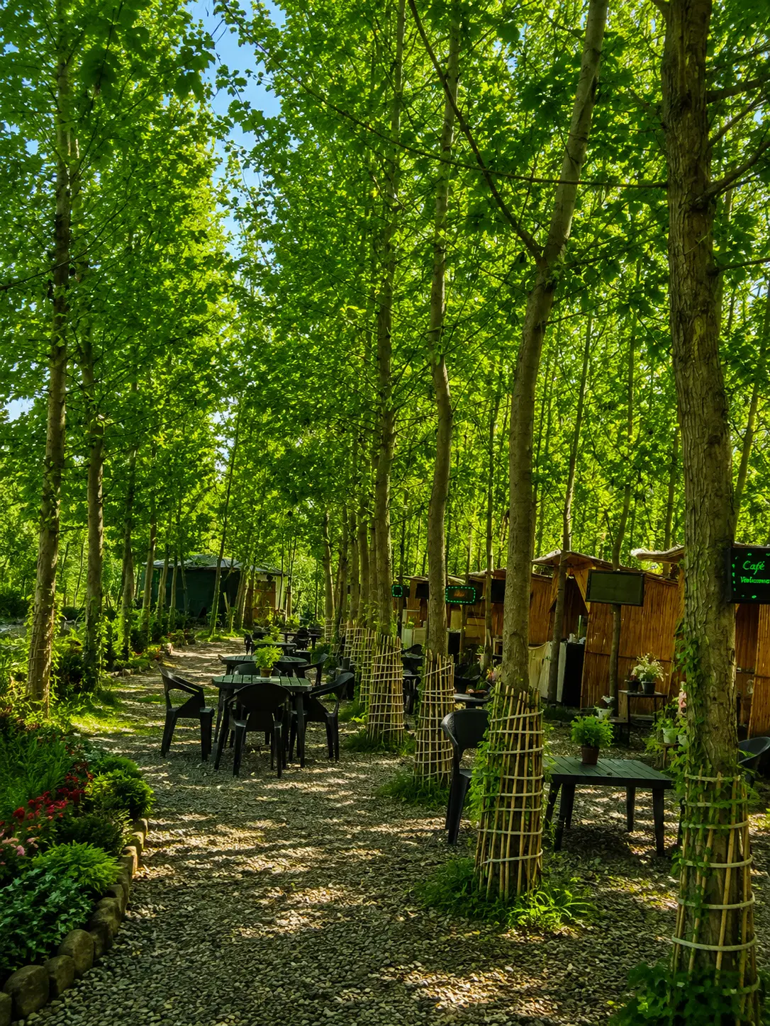 مسیری به سوی سبکی نو با کلبه های جنگلی