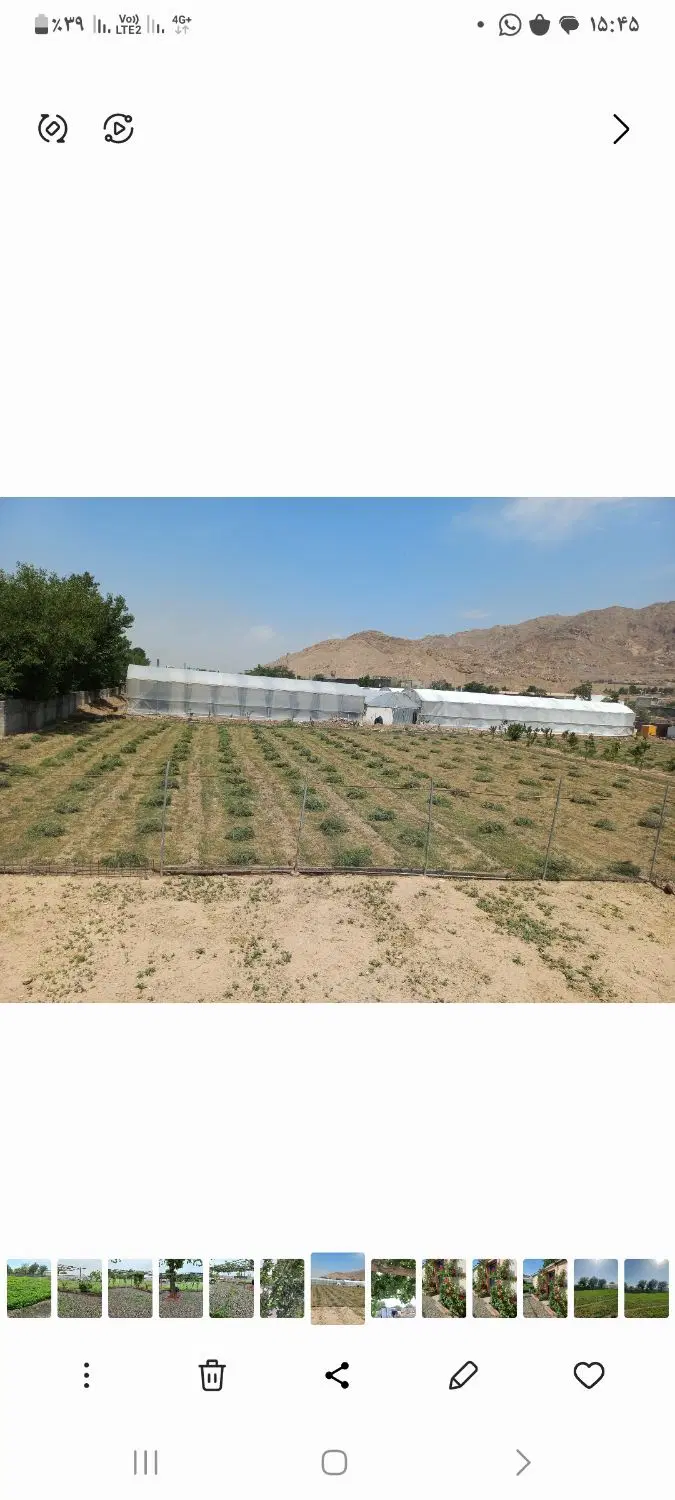 گلخانه در امین اباد