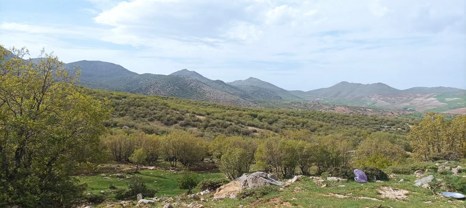 زمین 600متری دادگستری