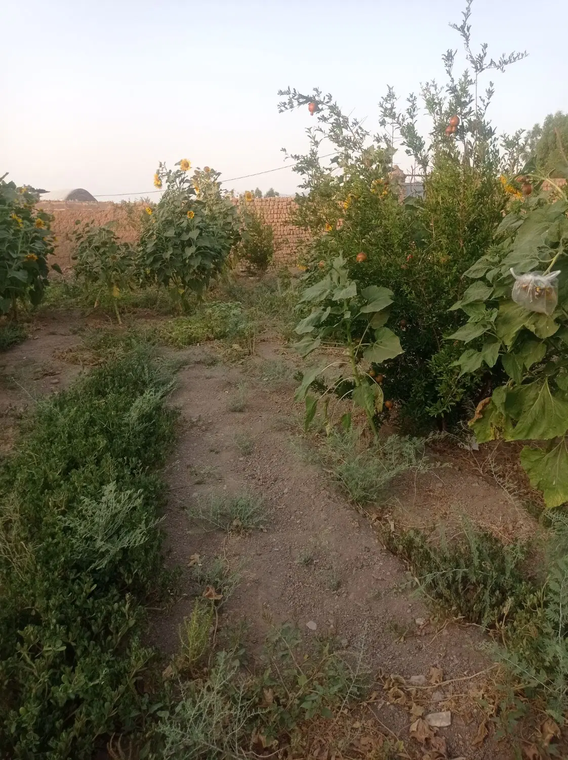 زمین باخانه کلنگی دارای امتیاز آب برق گاز