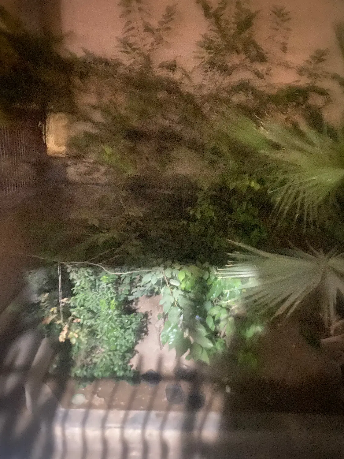 اجاره آپارتمان مبله