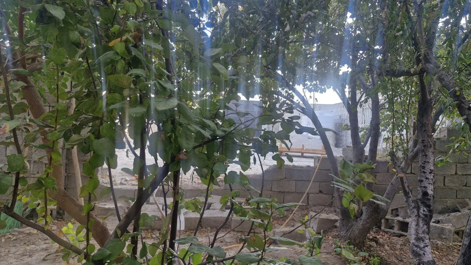 چهار دیواری  (باغچه)
