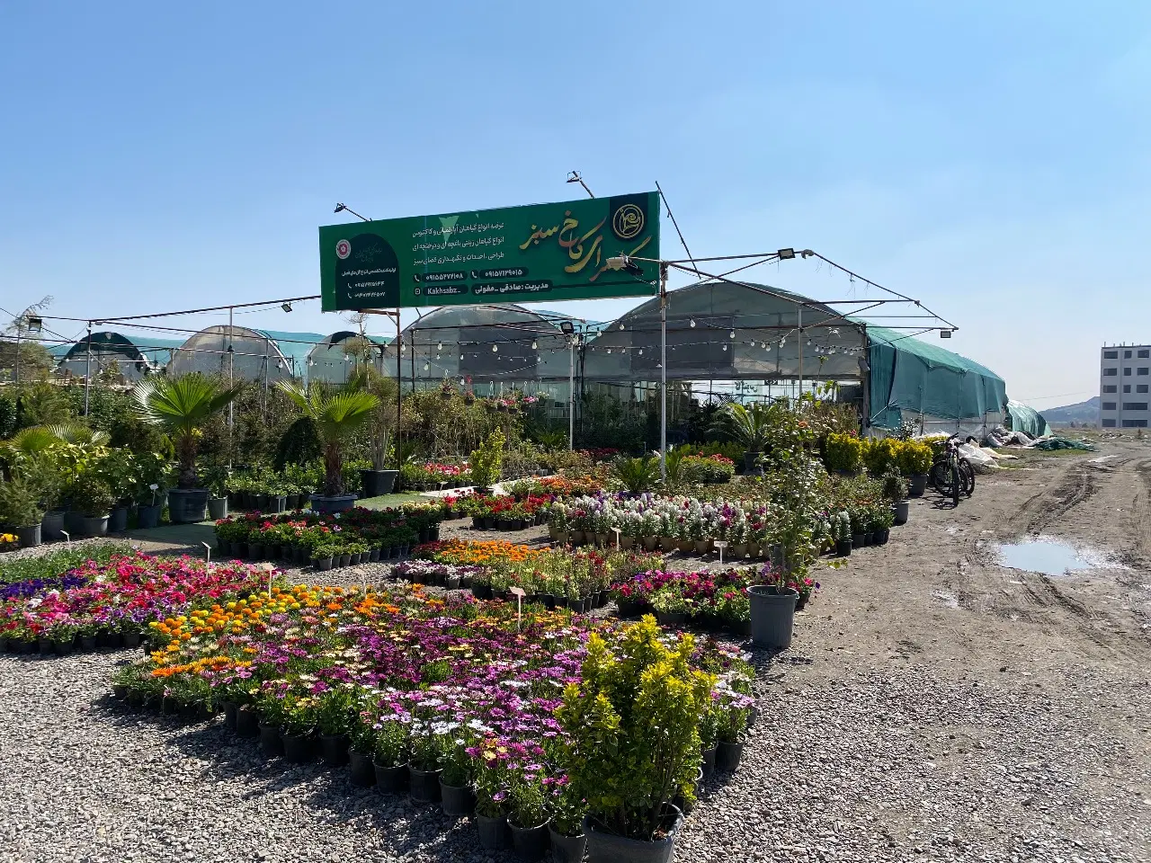 واگذاری گلخانه تجاری در طرقبه (بازار گل طرقبه )