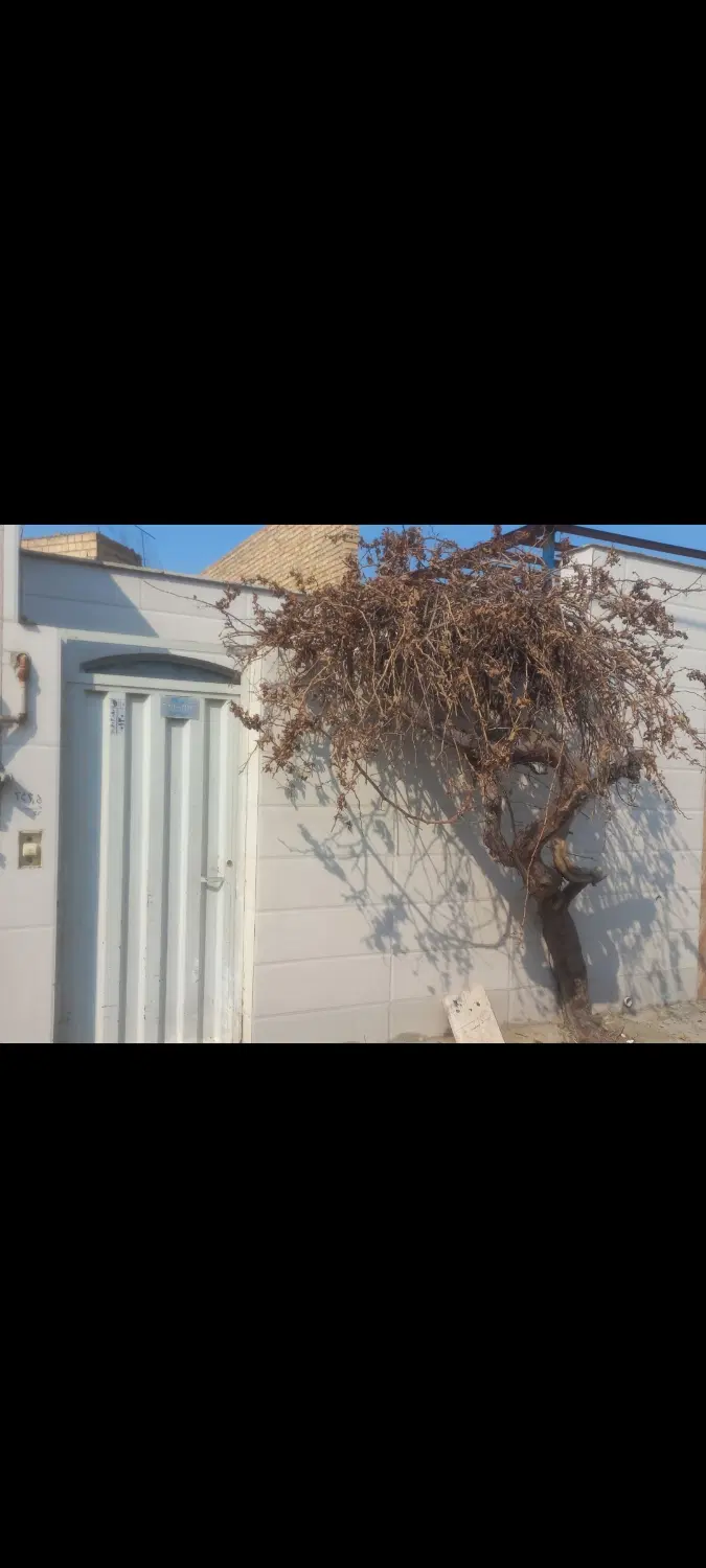 اجاره خانه ویلایی