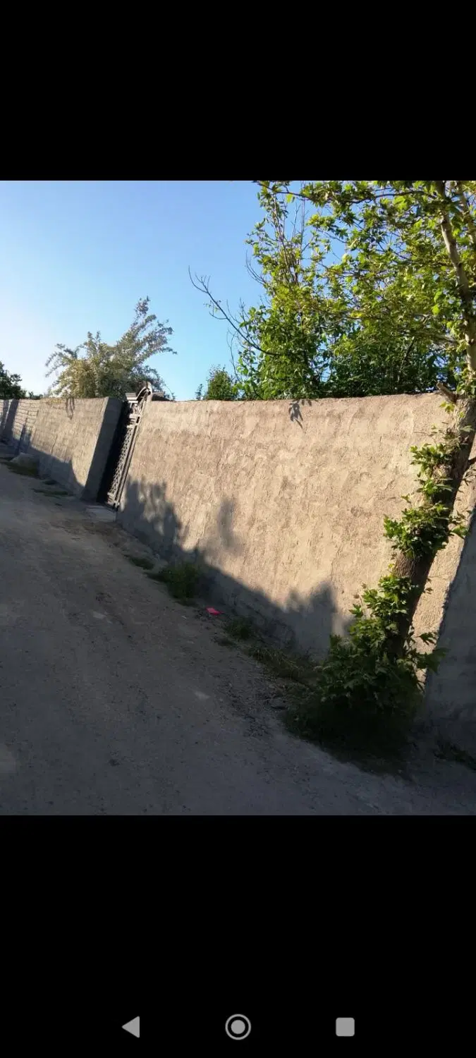 باغچه میوه