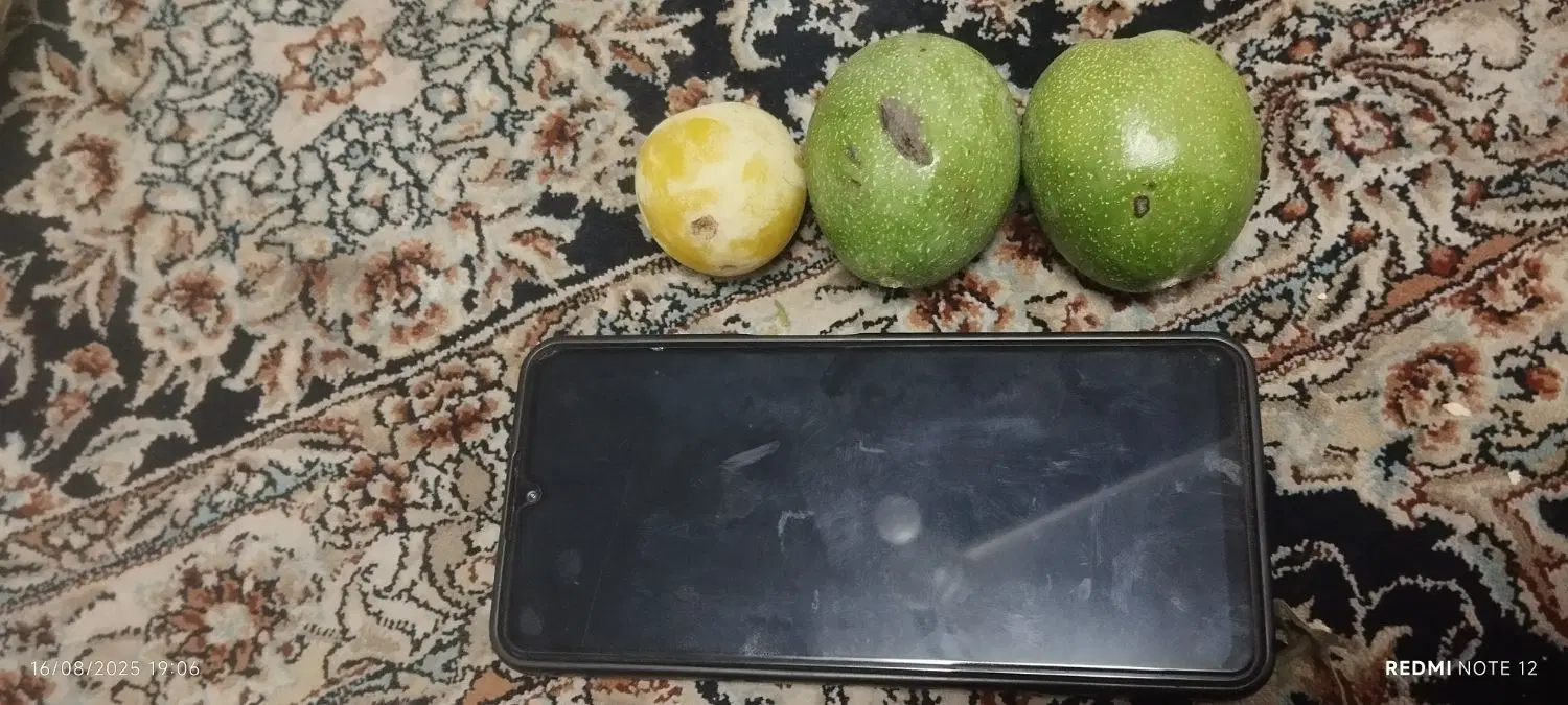 خونه باغ