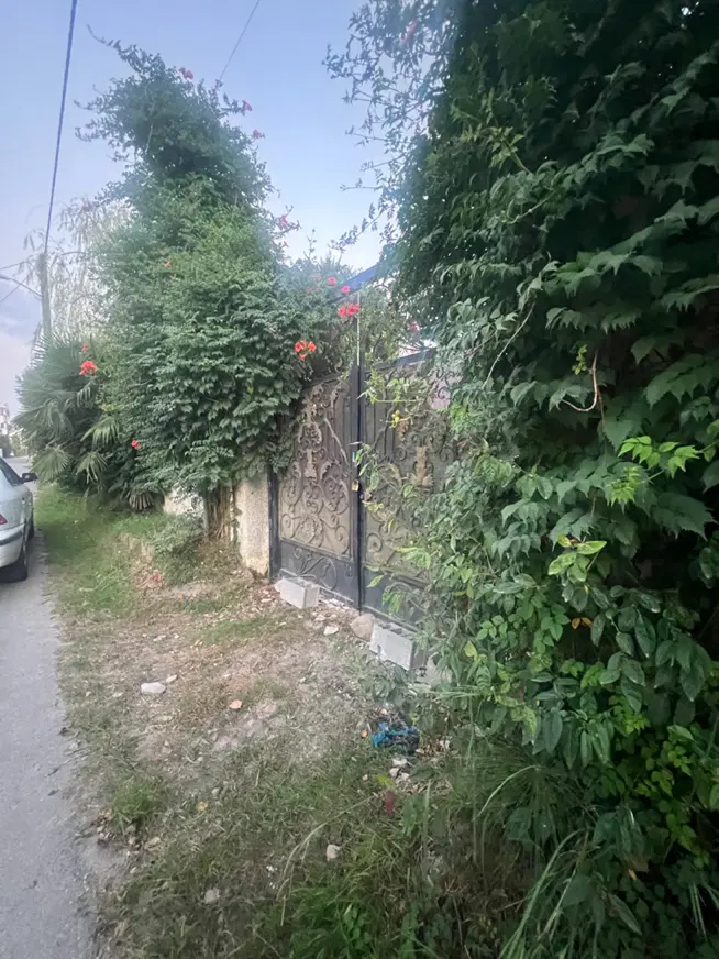 زمبن سند دار مشارکت در ساخت