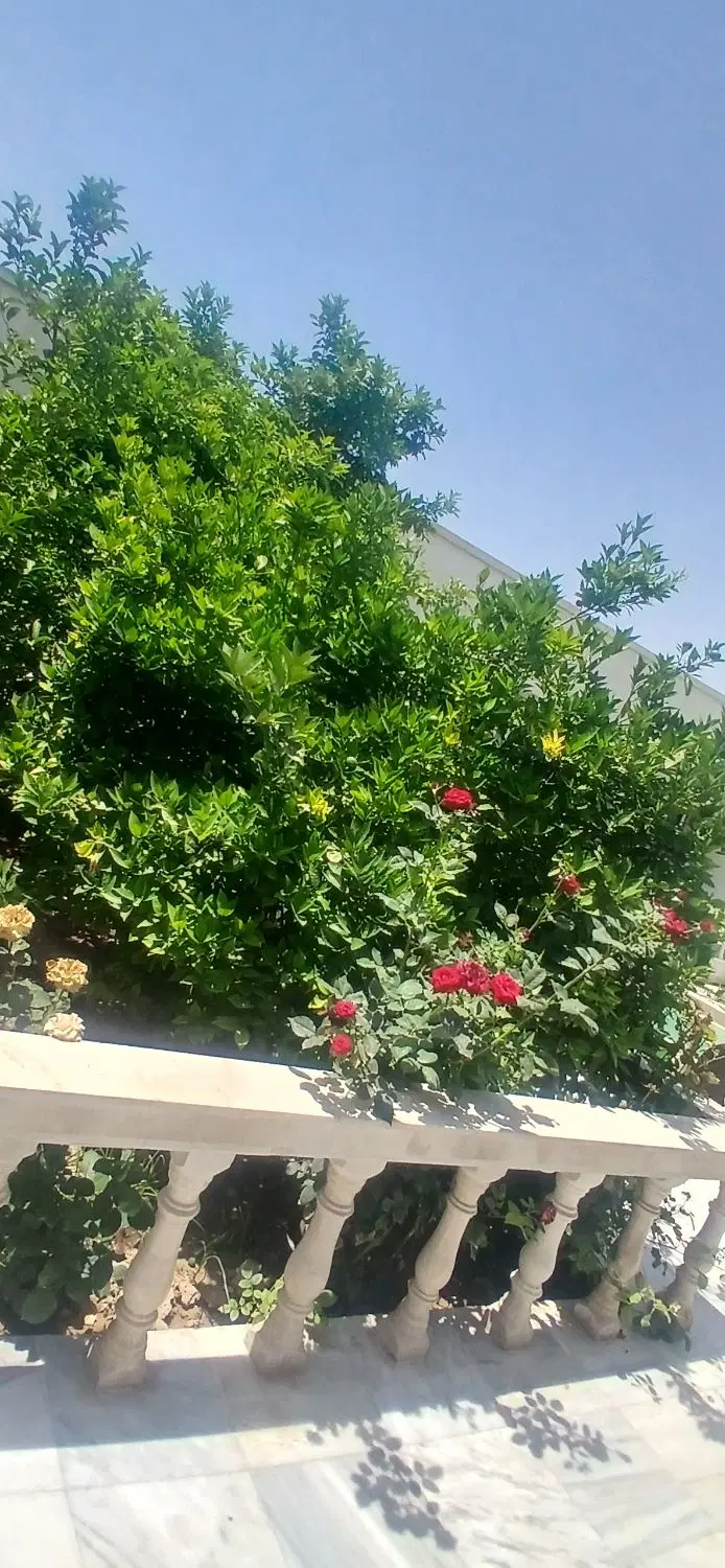 فروش ویلا