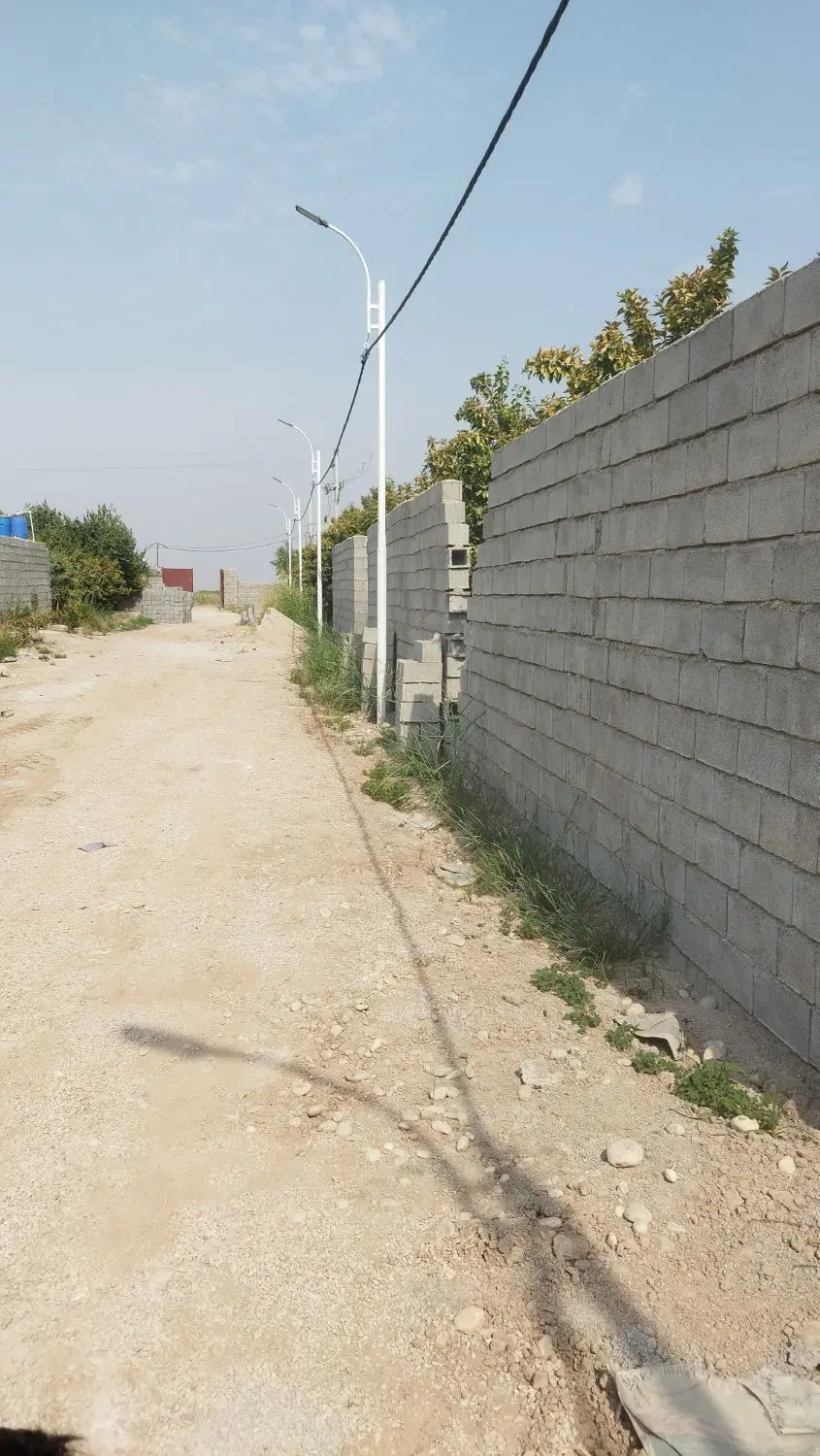 باغچه با درختان بزرگ