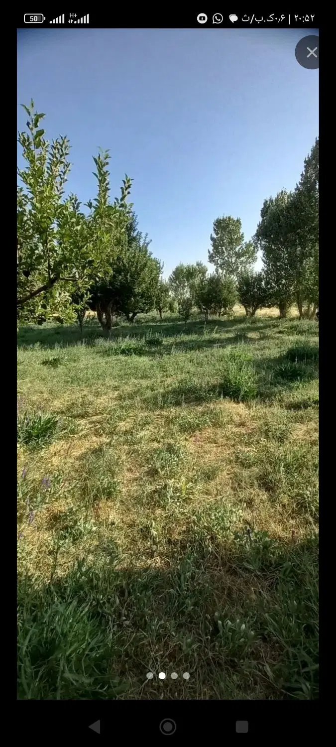 11 من باغ واقع در روستای ورجوی