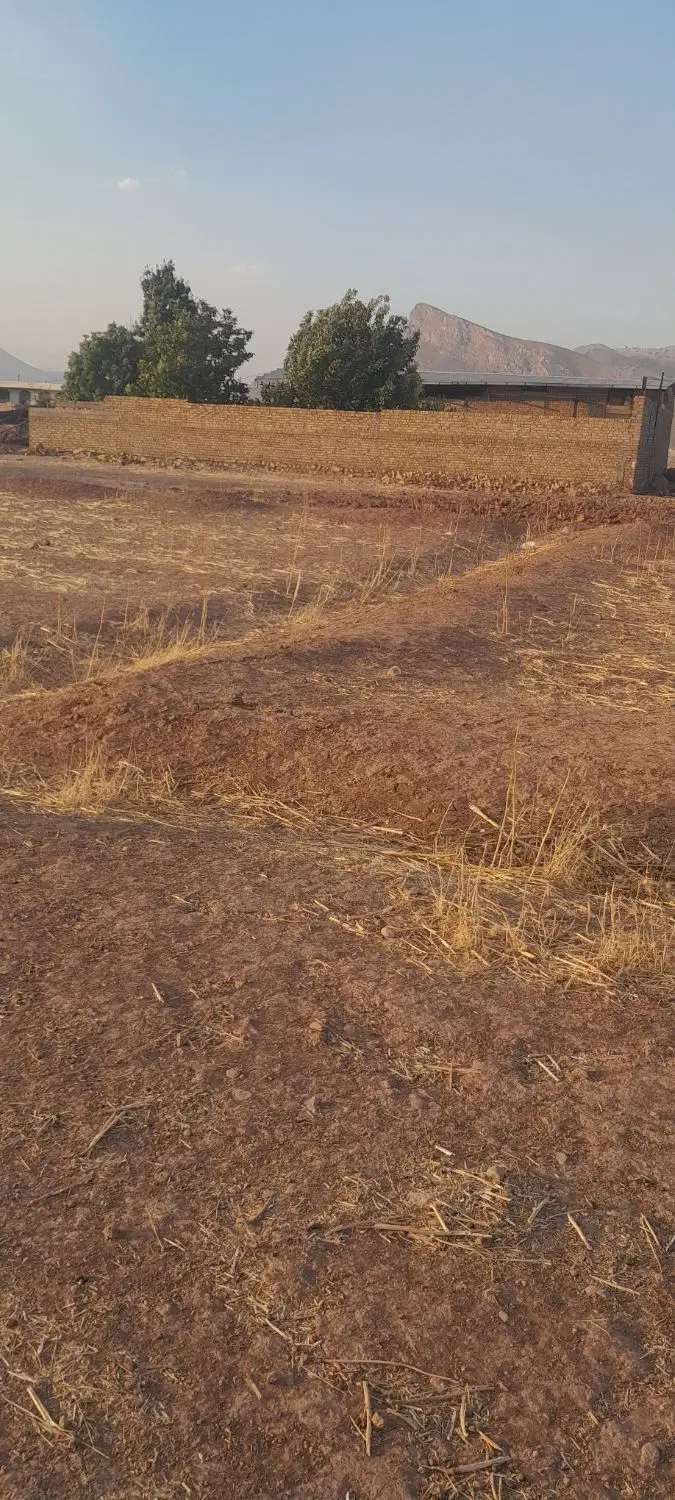 زمین در دارایی
