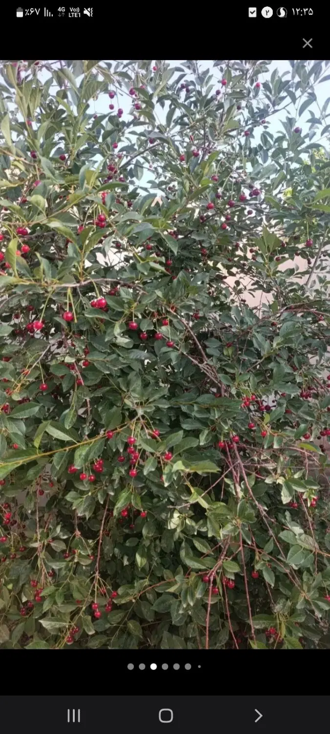 ویلا گرمابسرد نیمه ساز