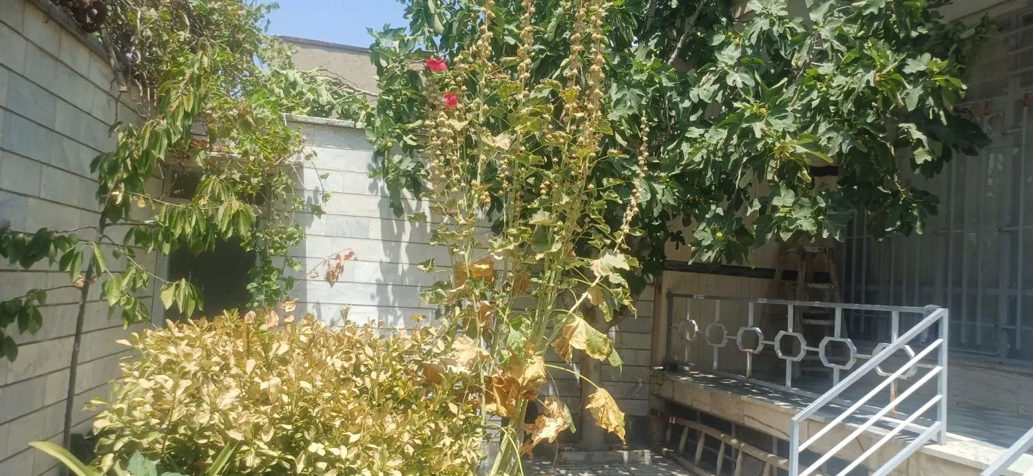 خانه ۲۰۰ متری دربست