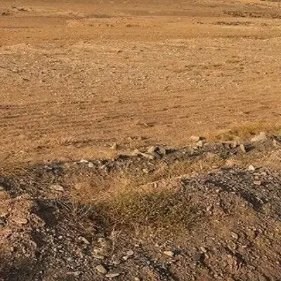 فروش زمین به متراژ۲۵۰ متر