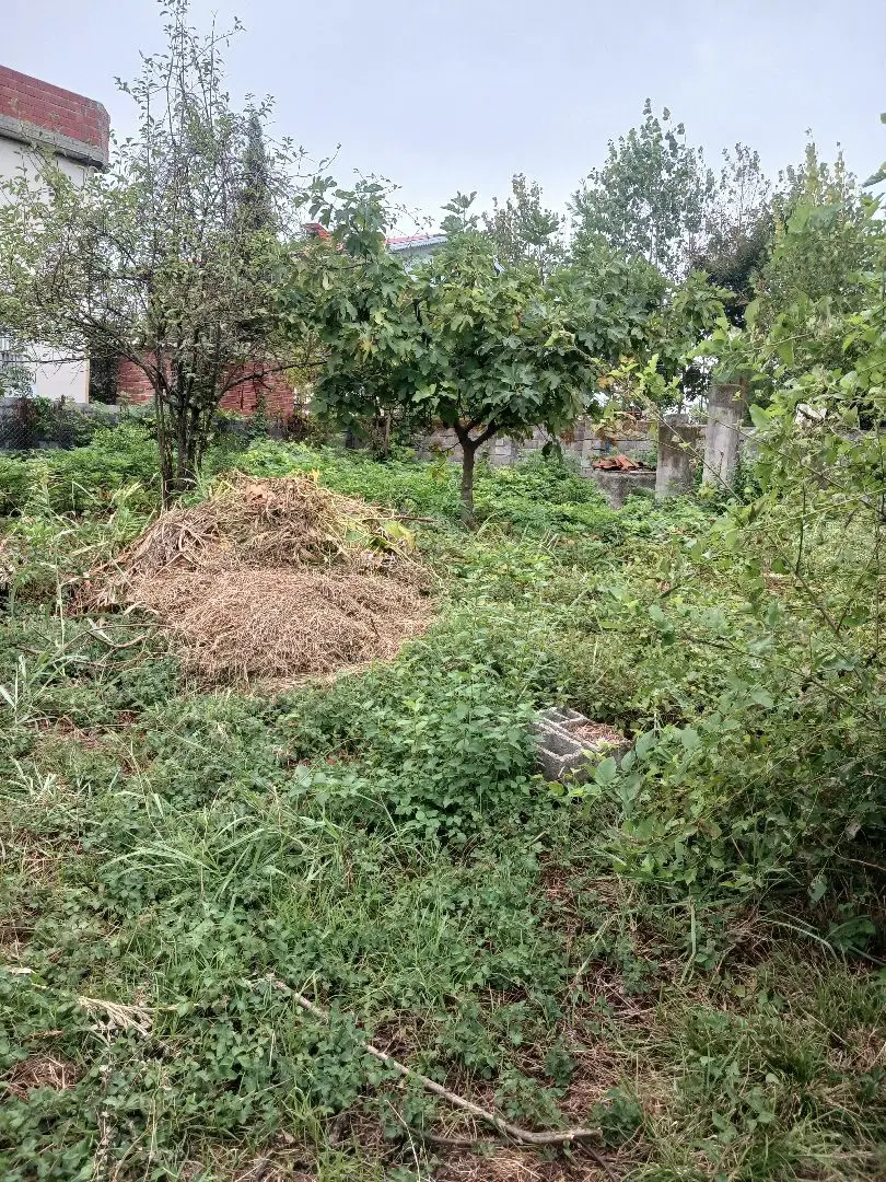 فروش زمین