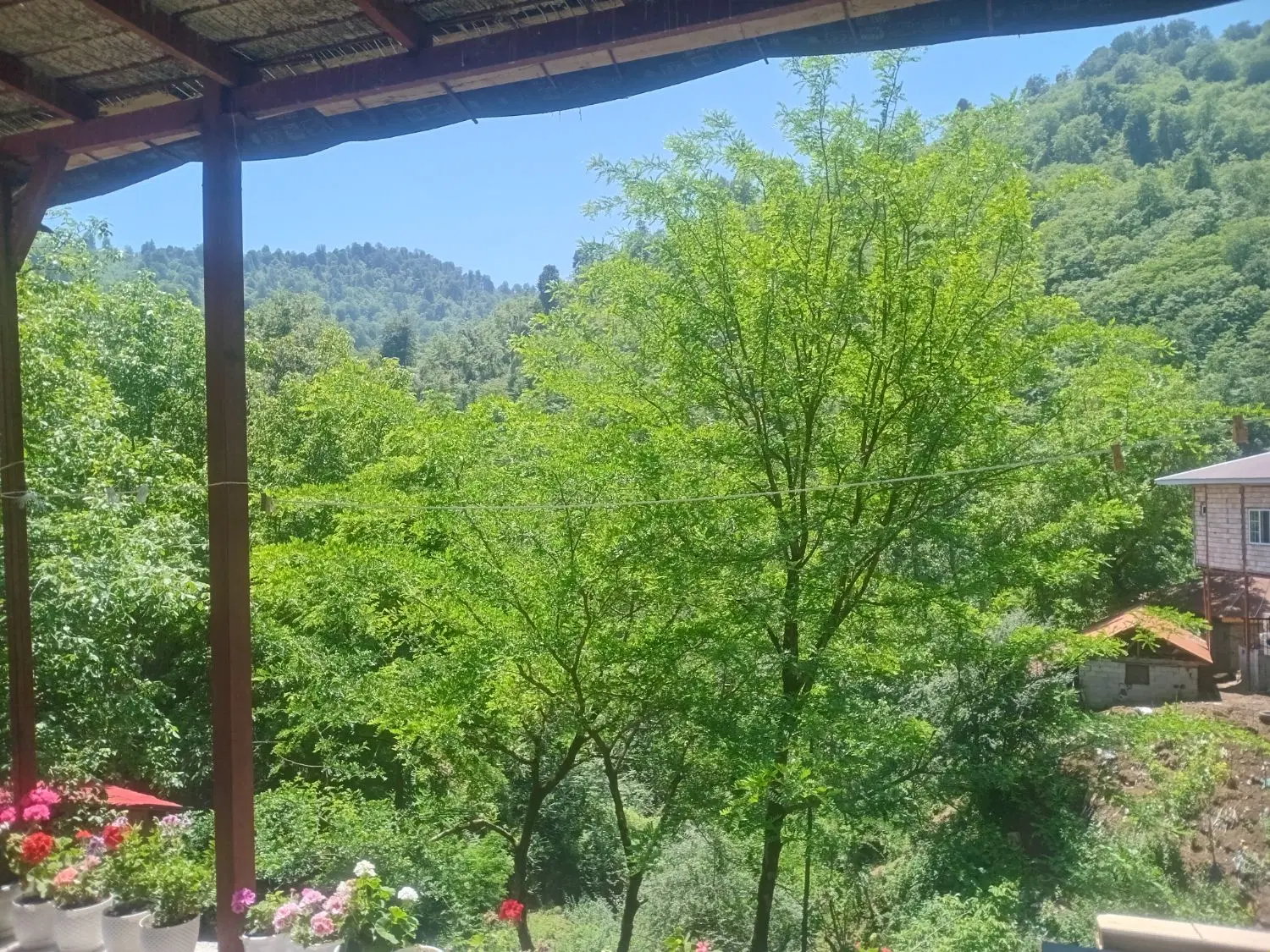 ویلای جنگلی