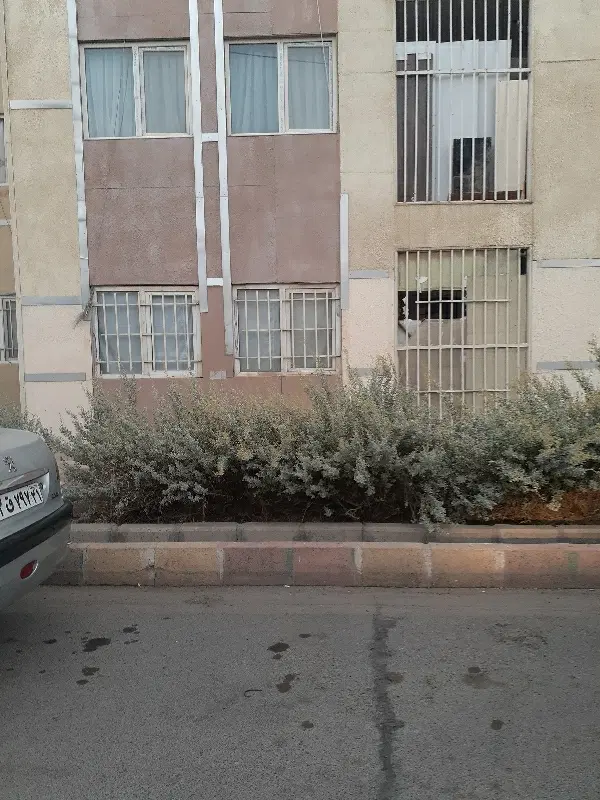 واحد مپسا ۳ بحر خیابان با موقعیت تجاری