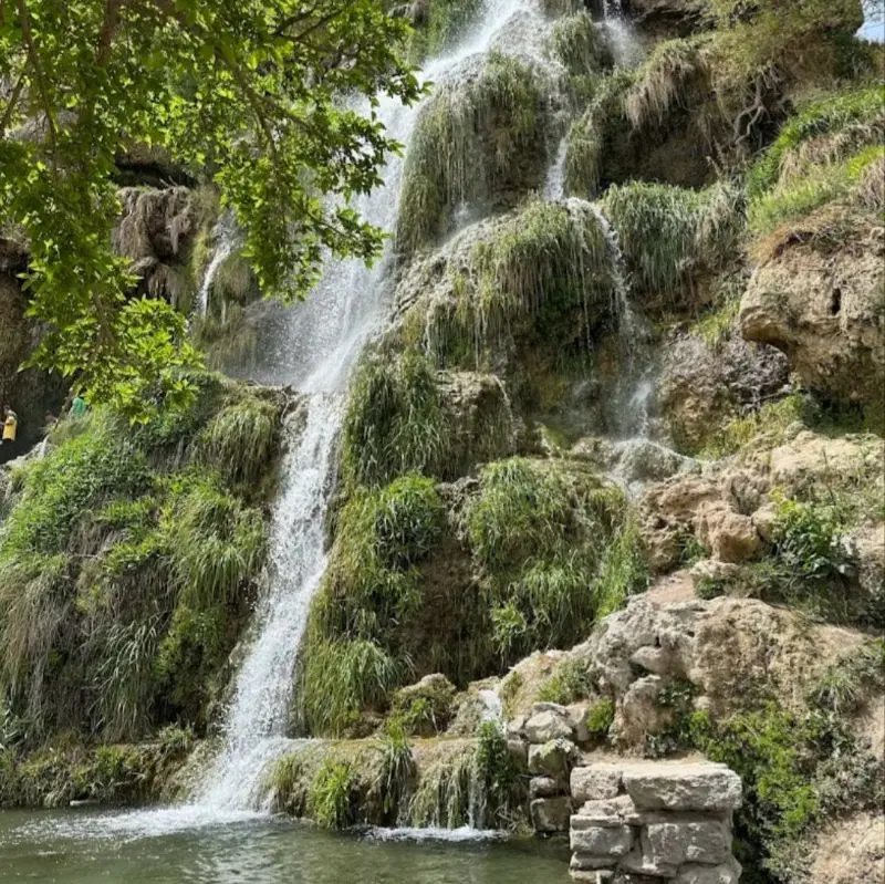 فروش باغ و ویلا در دو روز
