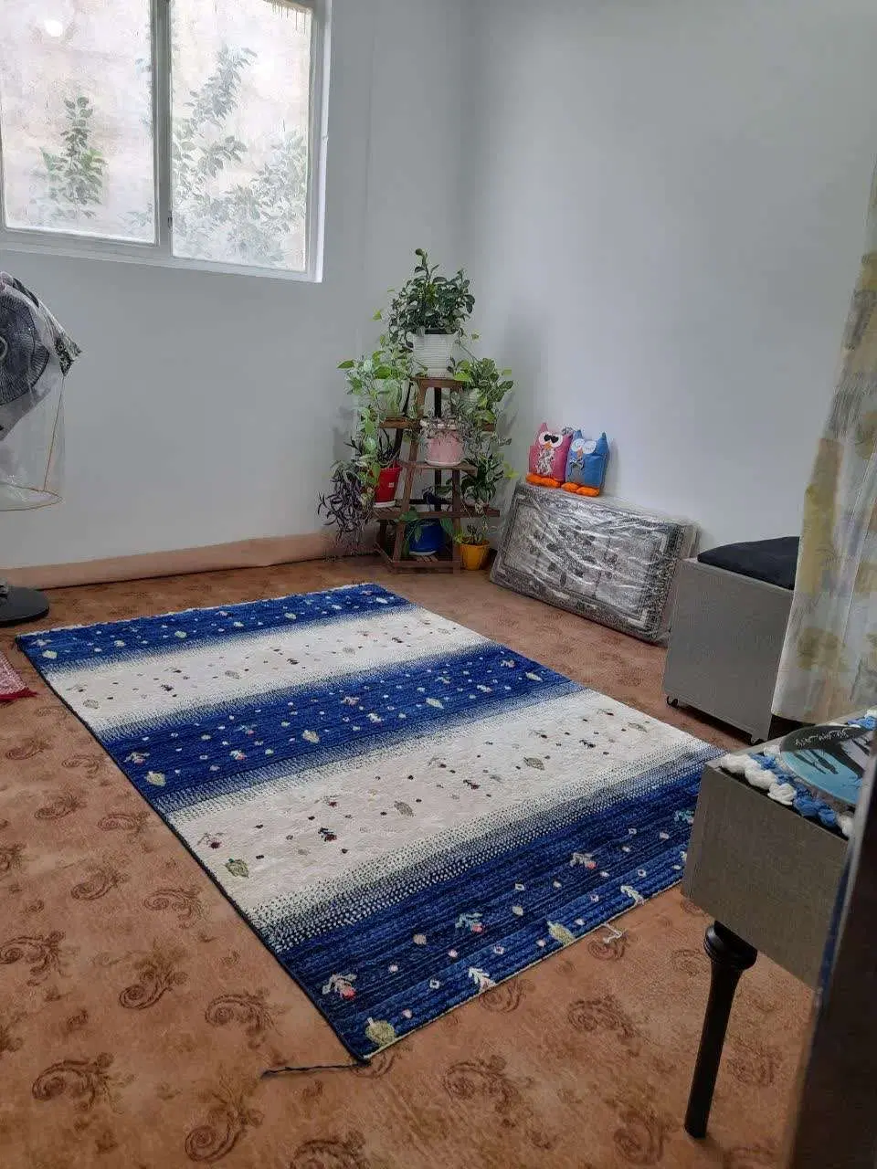 اجاره آپارتمان امیریه ۳۱