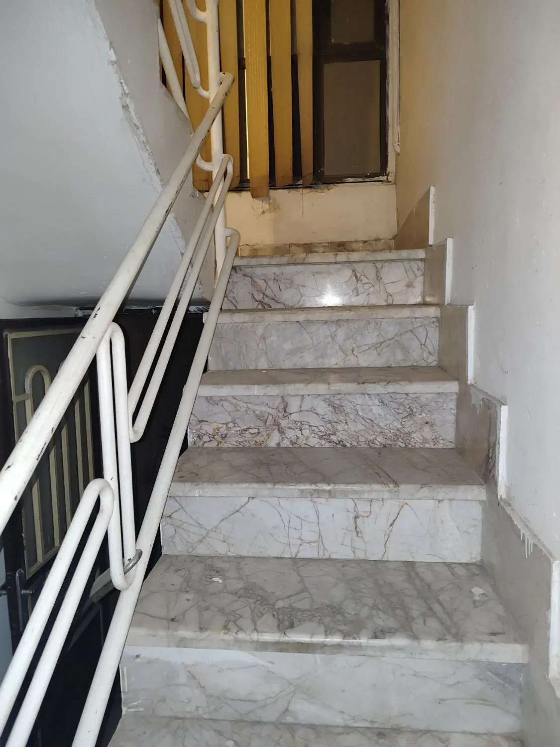 ۸۰متری۲خواب،رهایی،شاملو