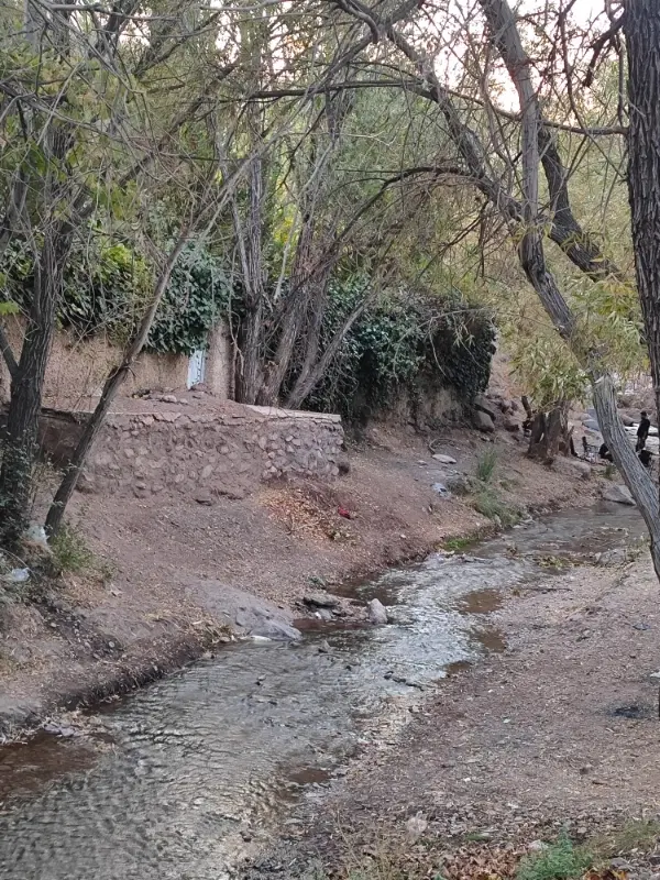 ۳۰ قصب زمین در وامق آباد