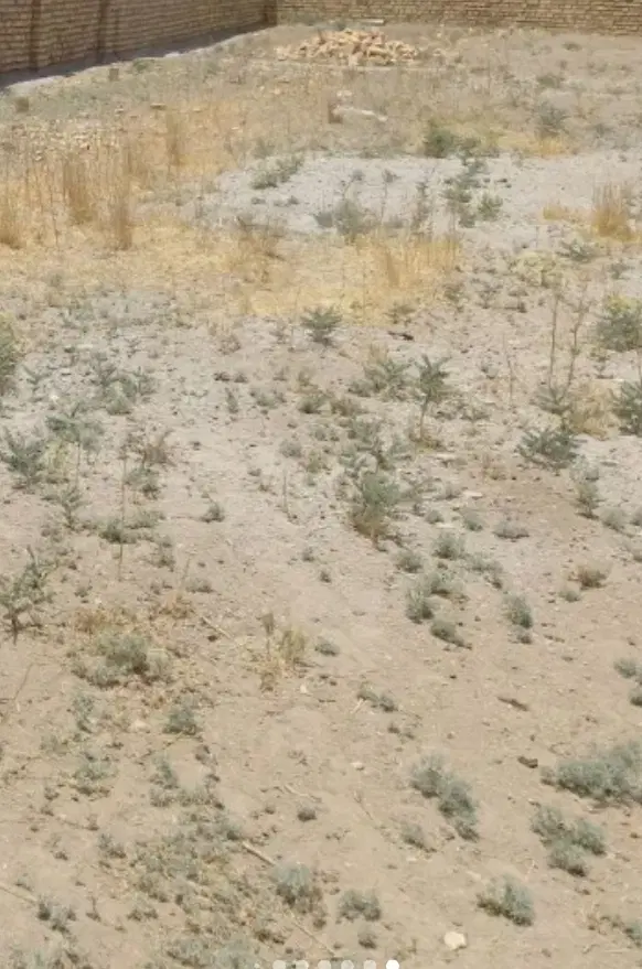زمین مسکونی