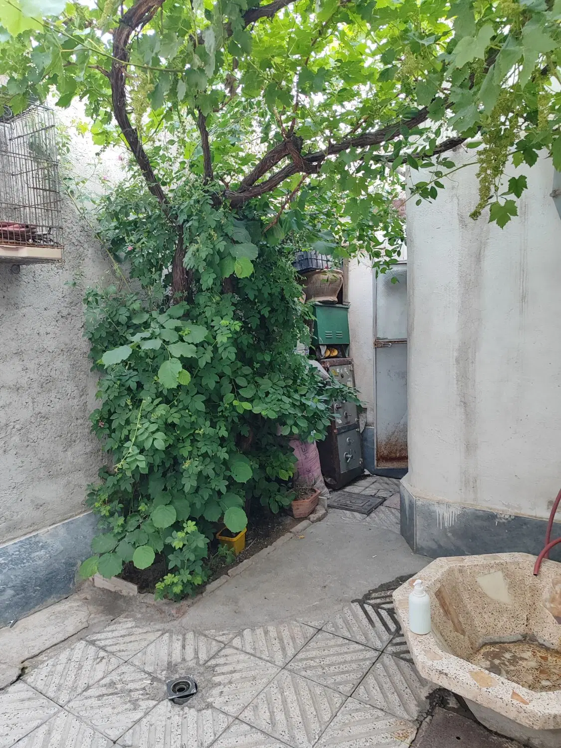 خانه ویلایی