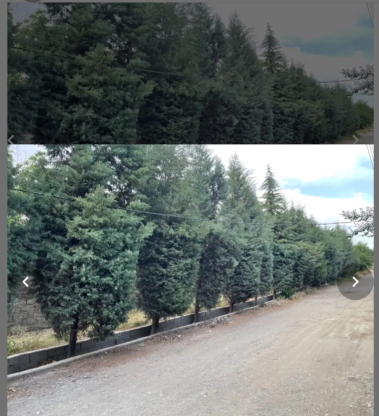 زمین با کاربری مسکونی تجاری