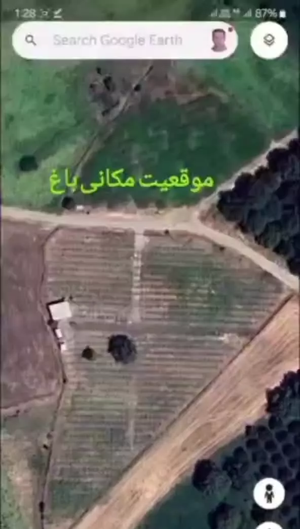 فروش باغ تجاری انگور