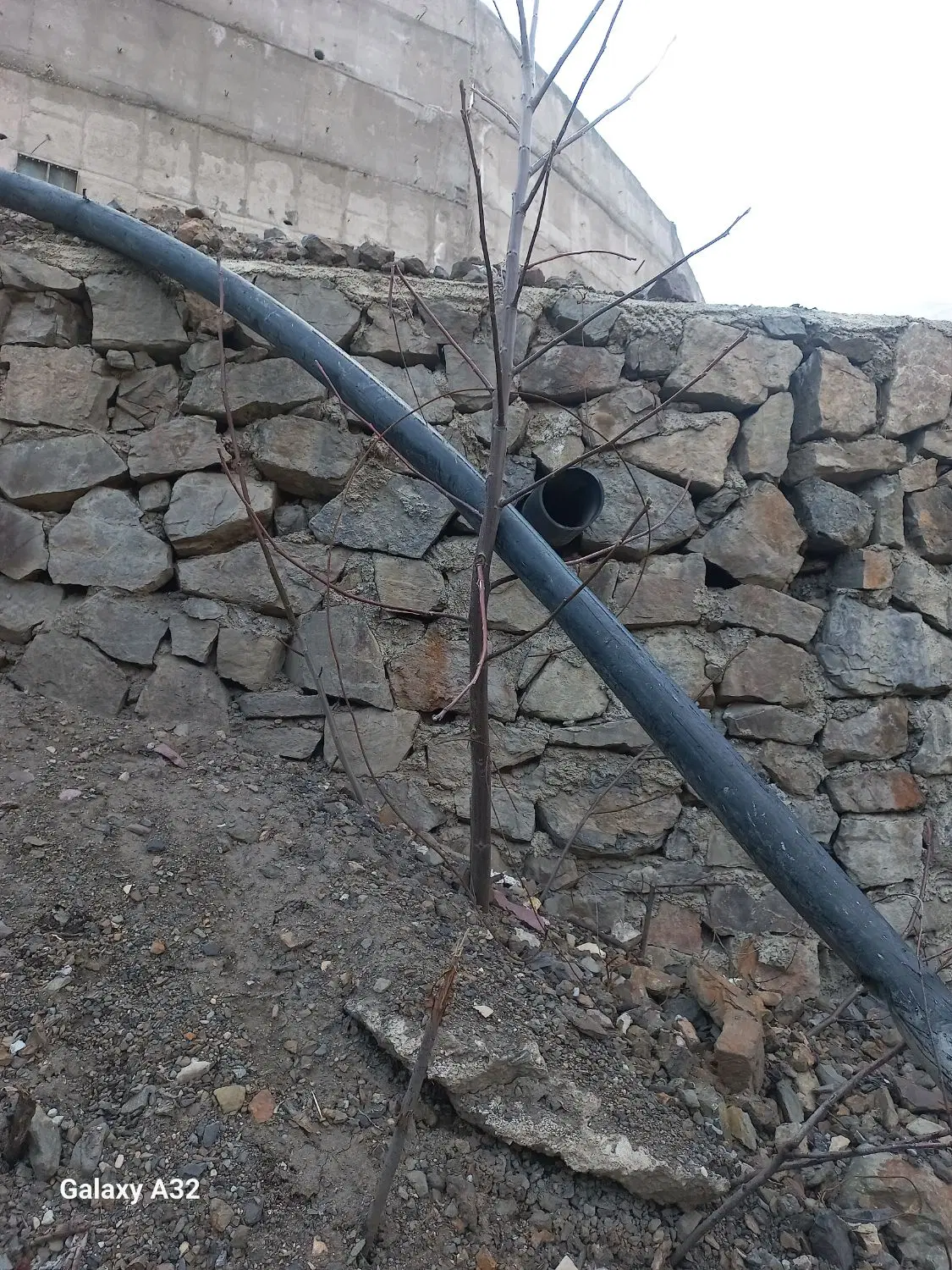 زمین در جاده چالوس کیلومتر ۶۰ روستای ملکفالیز