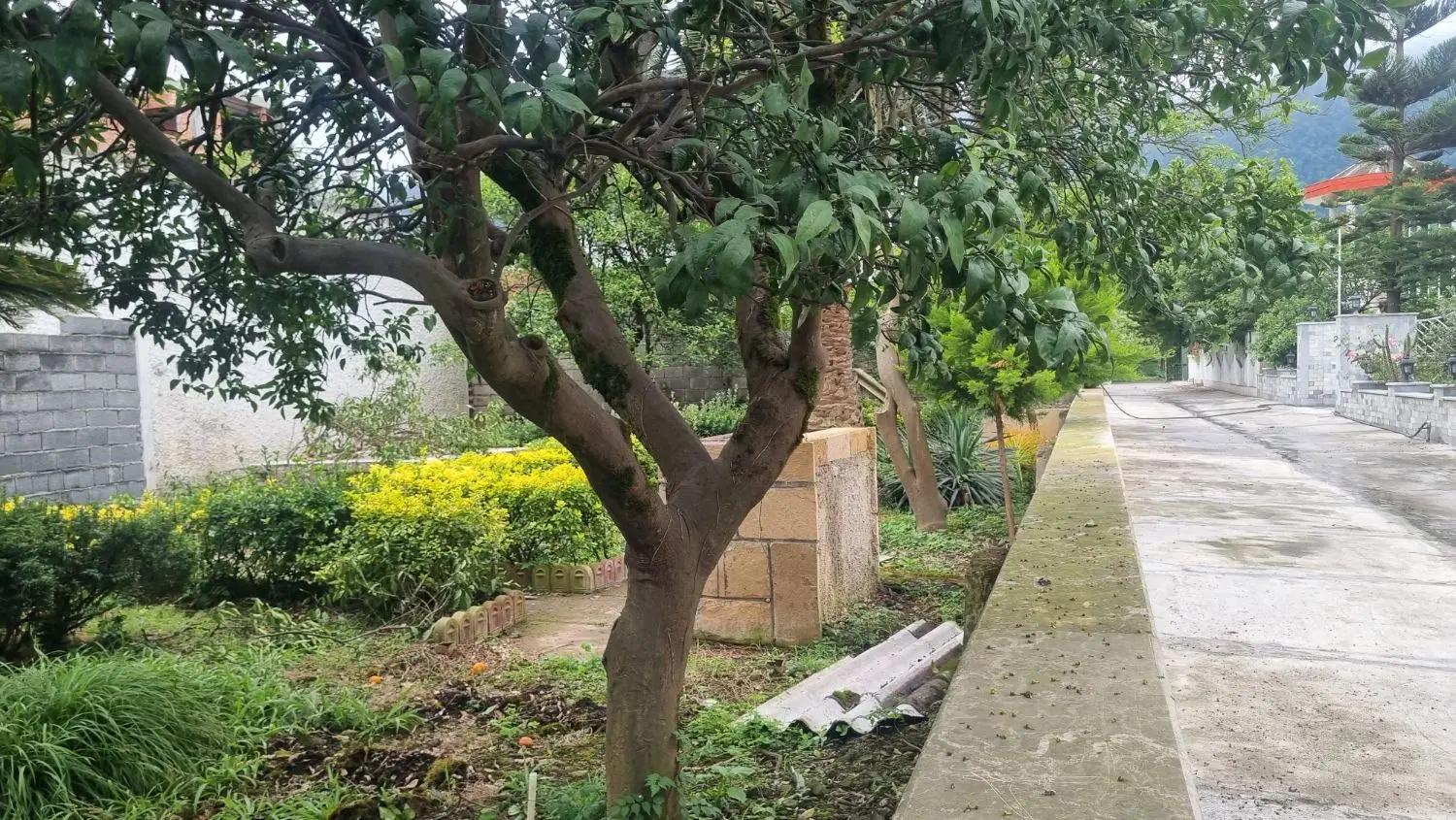 فروش زمین ۱۱۰۰متری