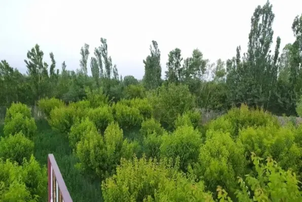 فروش آب در روستای ارلان