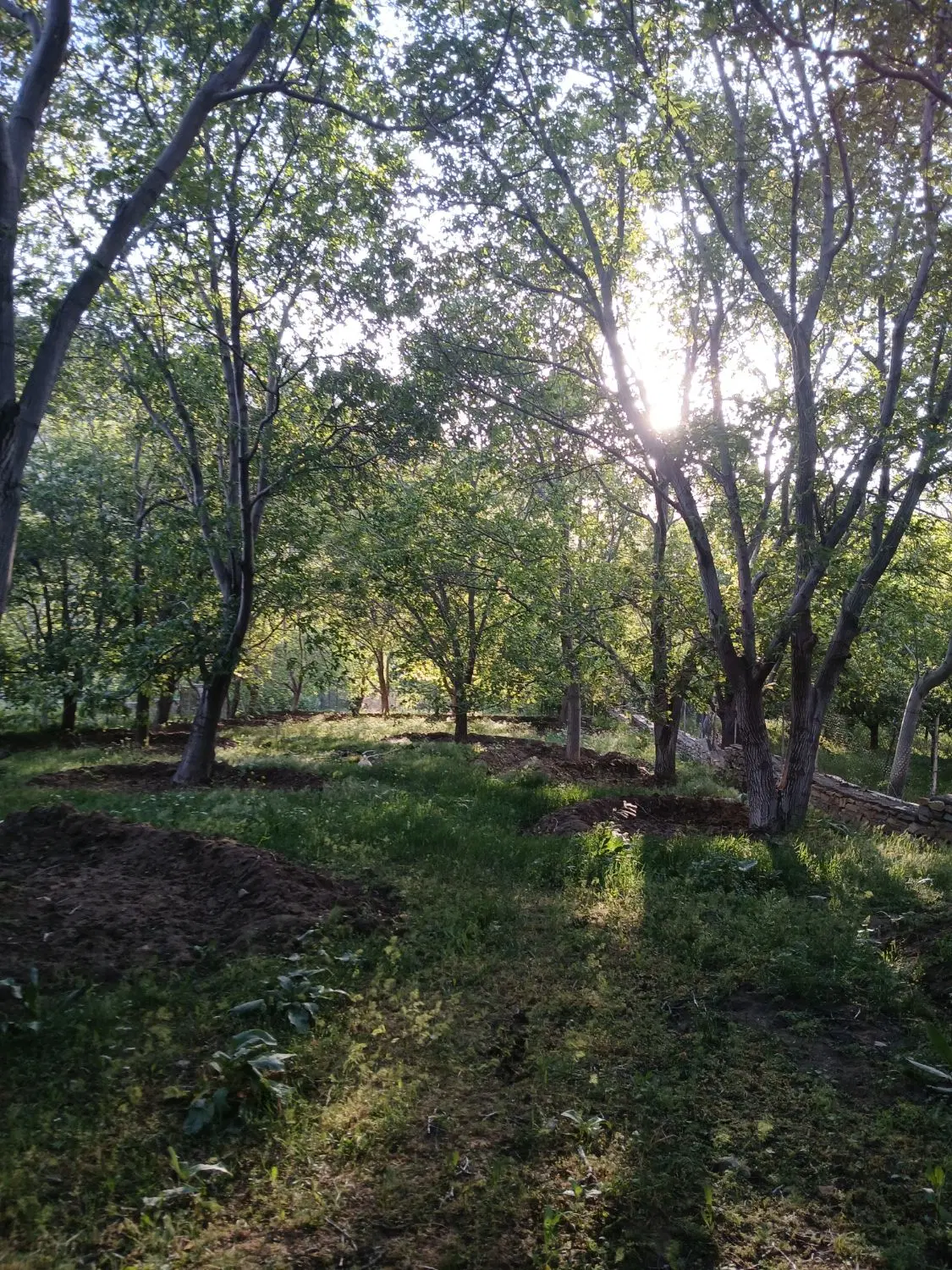 فروش زمین امامزاده کوه برفین