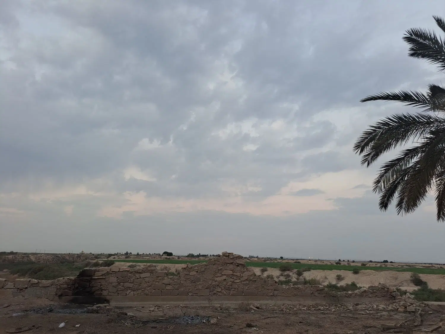 فروش زمین باغی