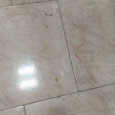 زمین دونبش دوکله بلوار حجاج