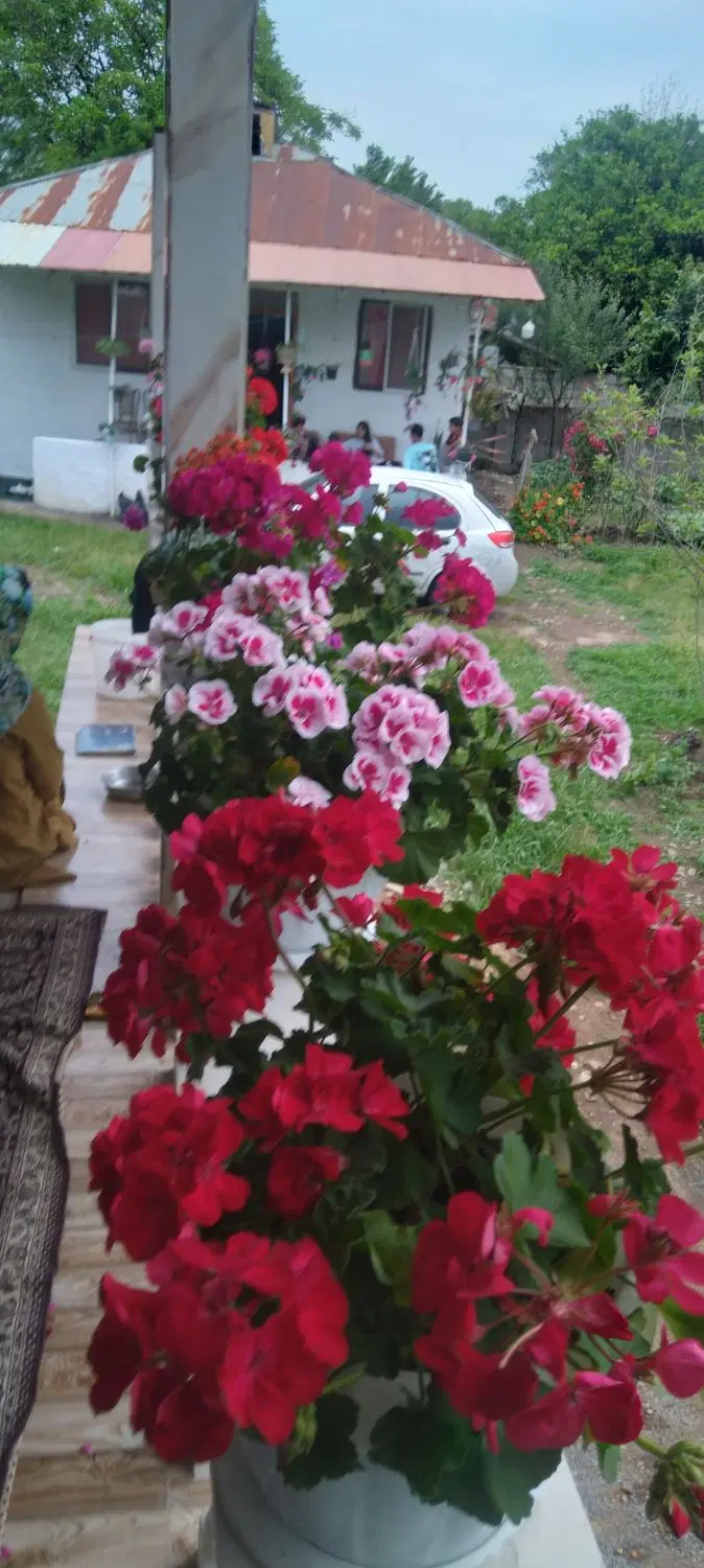 ویلا کوهستانی شیک وزیبا