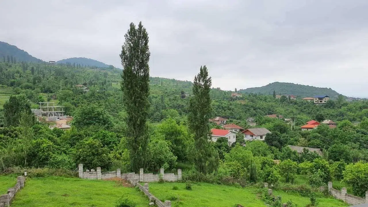 ۵۲۰ متر زمین چکی تک برگ