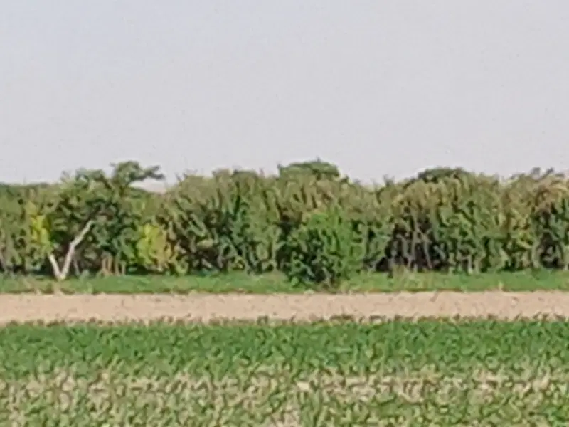 فروش ۴۶۰متر زمین حاشیه