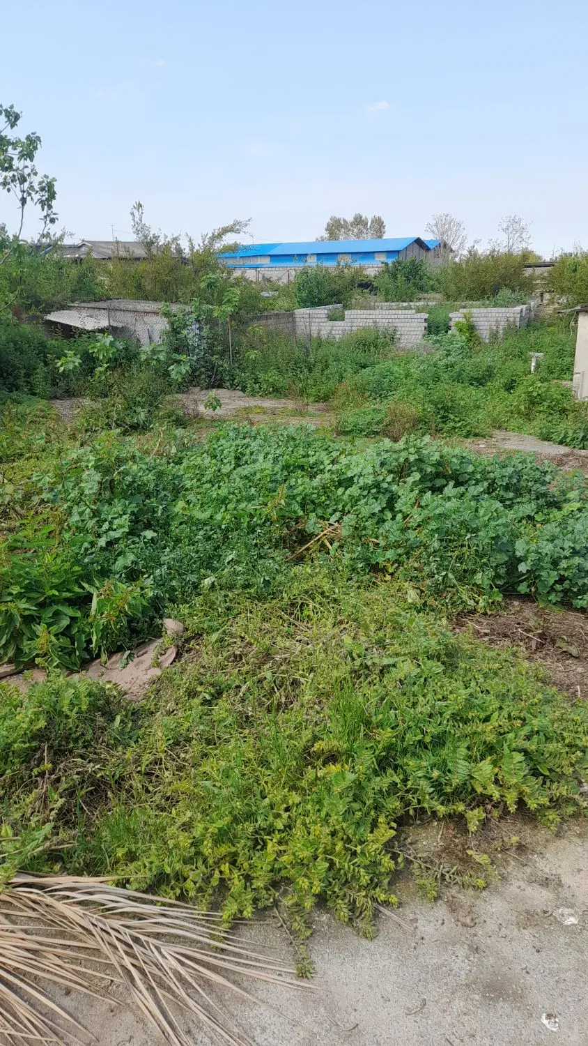 زمین لب کمربندی هراز