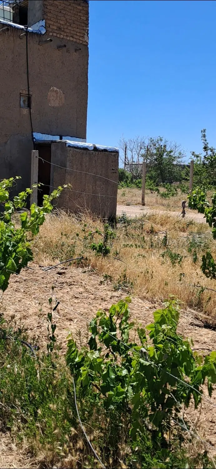 باغ انگور ویلایی ، برق شهری در تاکستان