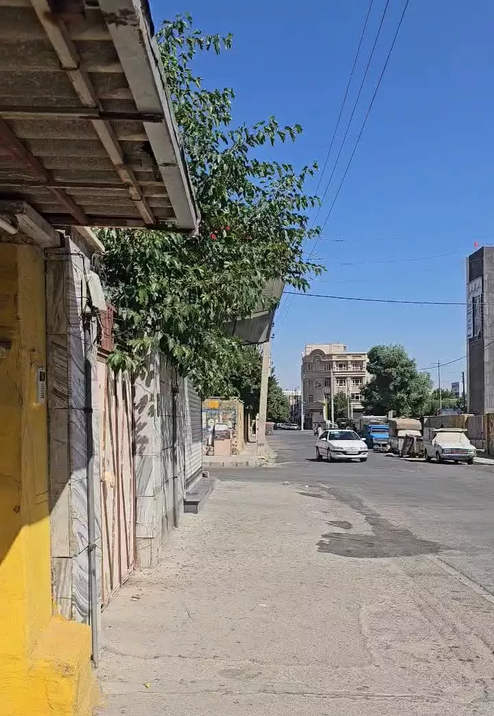 مغازه ۱۲